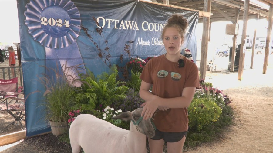 Ottawa County Fair celebrates youth and community in Its 105th year [Video]