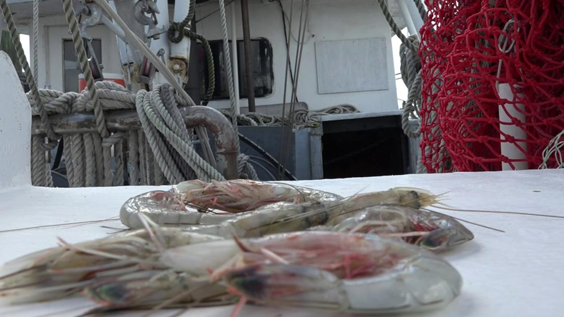 Port Arthur shrimpers say coastal windfarms could harm industry [Video]