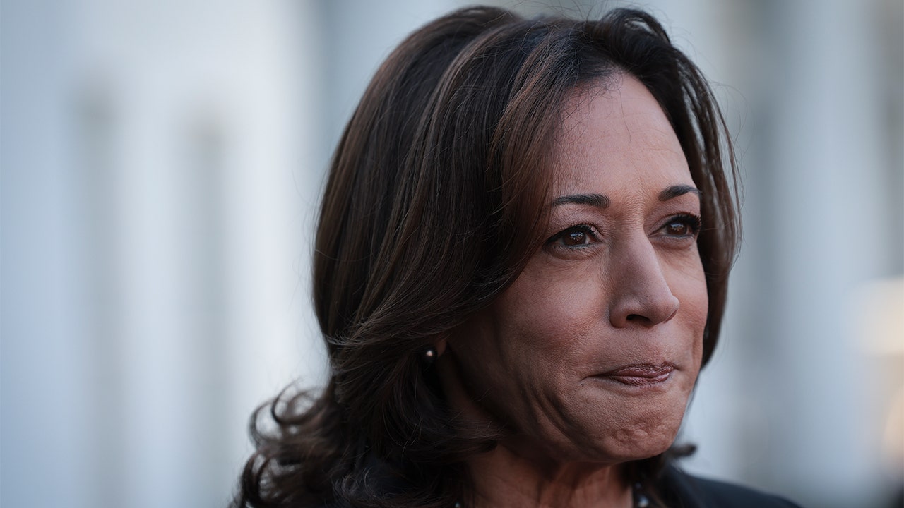 New Yorker reporter urges media to ask Harris actual questions: Job of the press to be demanding answers [Video]