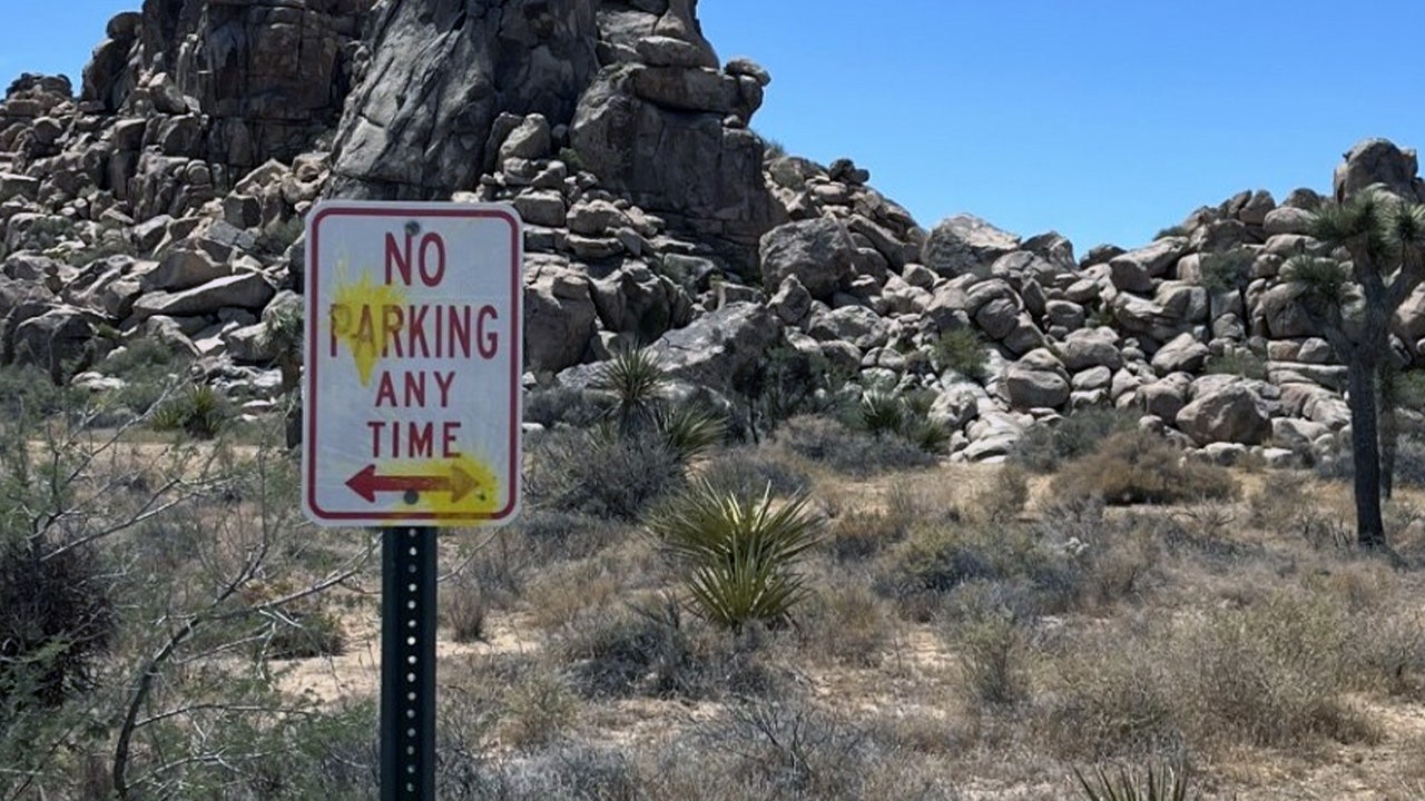 German tourists shoot paintballs at signs at Joshua National Park [Video]