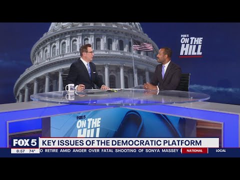 A closer look at the Democratic platform [Video]