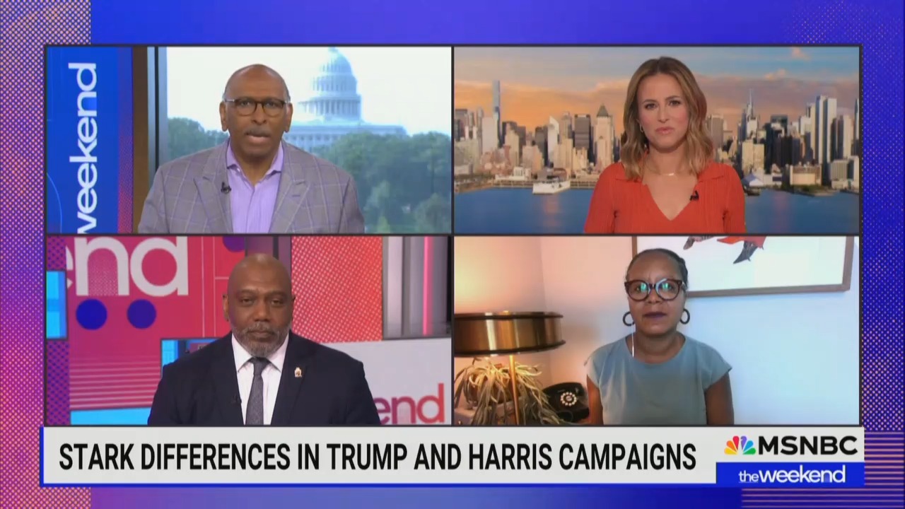 MSNBC’s Michael Steele Rips Media for ‘Whining’ About Kamala [Video]