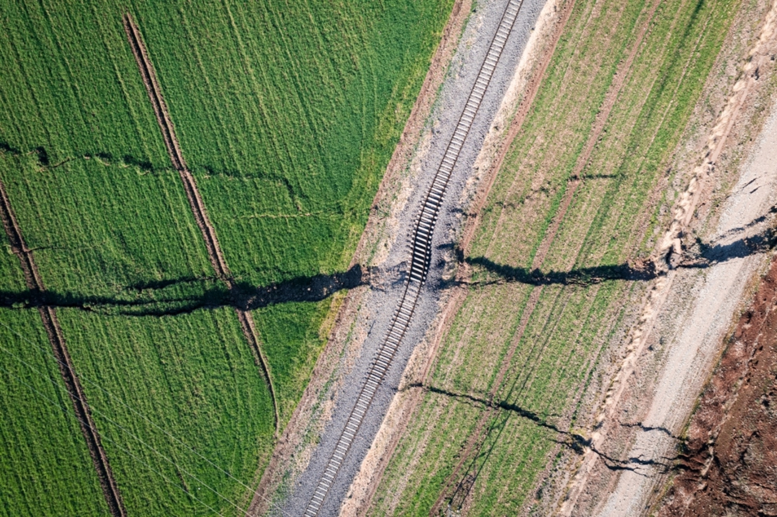 AI can help detect earthquakes faster [Video]