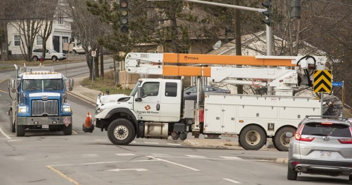 Bird on a wire: New Brunswick Power blames ospreys for outages on sunny days – New Brunswick [Video]