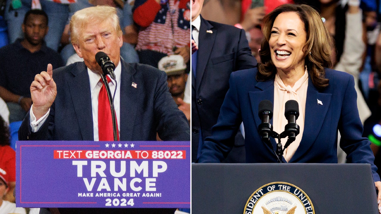 MSNBC guest compares Trump to Hitler’s final days in bunker over his Harris AI crowd claims [Video]