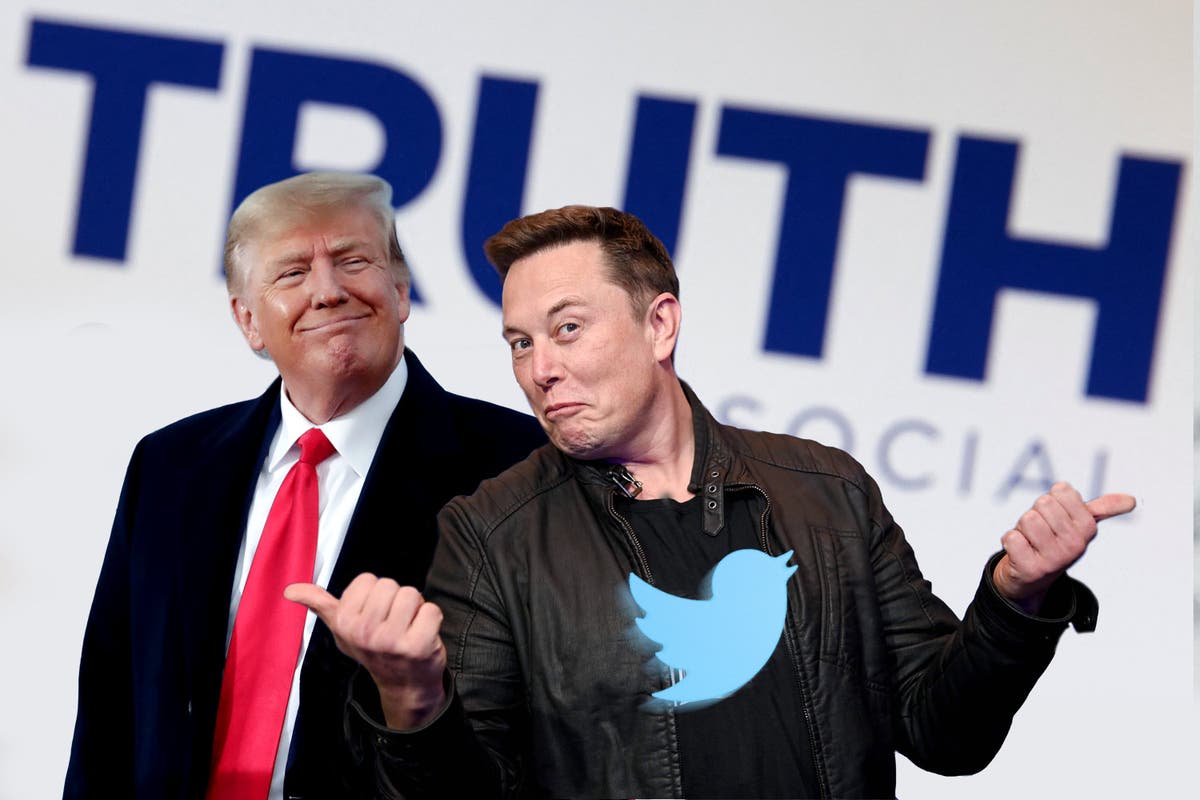 Donald Trump to interview Elon Musk on X: How to watch live [Video]