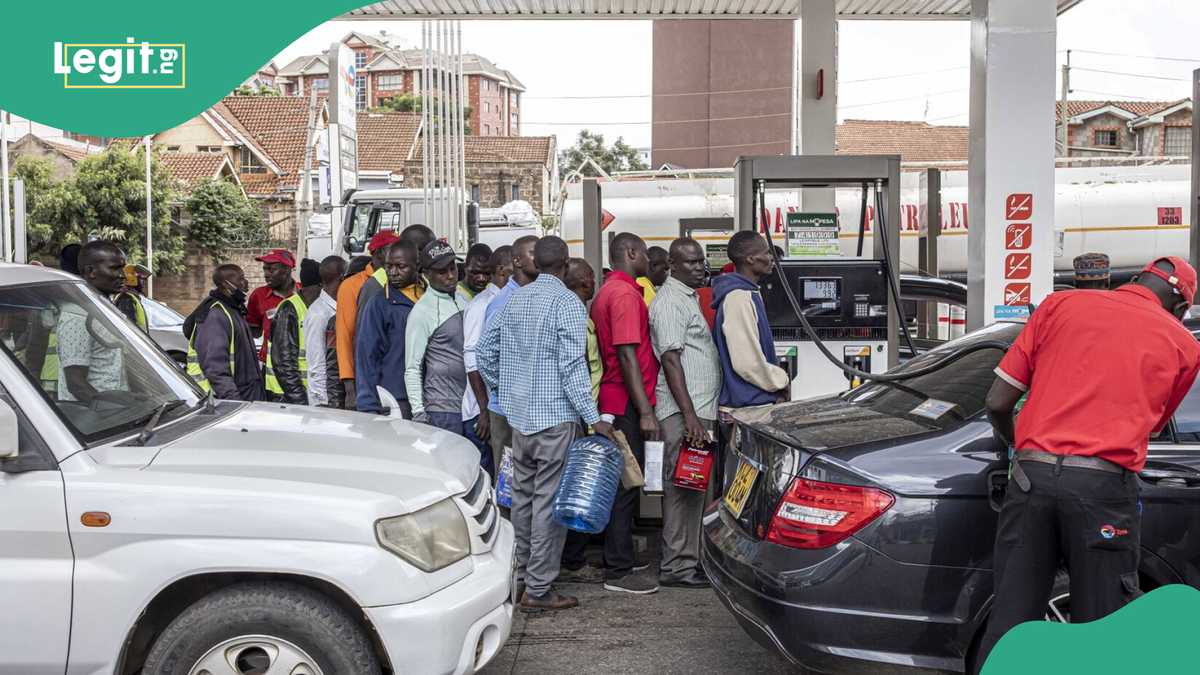 Back to N200/litre: Marketers Speak on Return of Subsidy as Petrol Landing Cost Hits New High [Video]