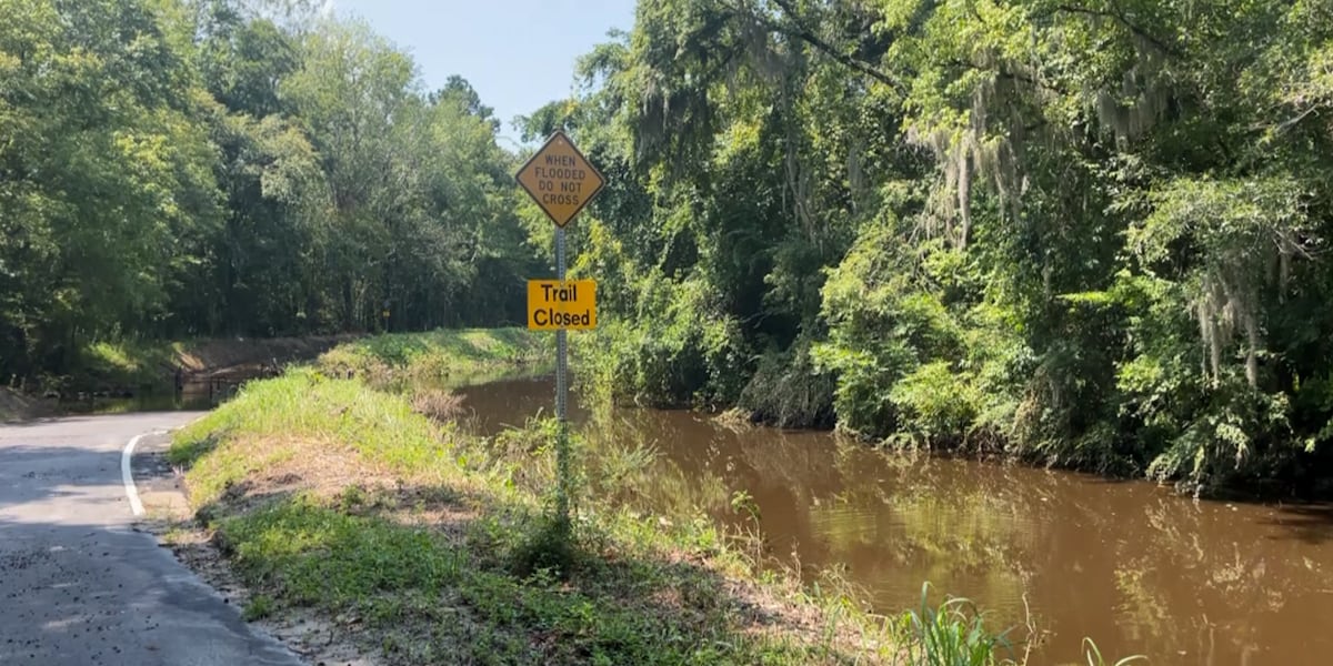 Neighbors call Dorchester Co. flooding a simple fix [Video]