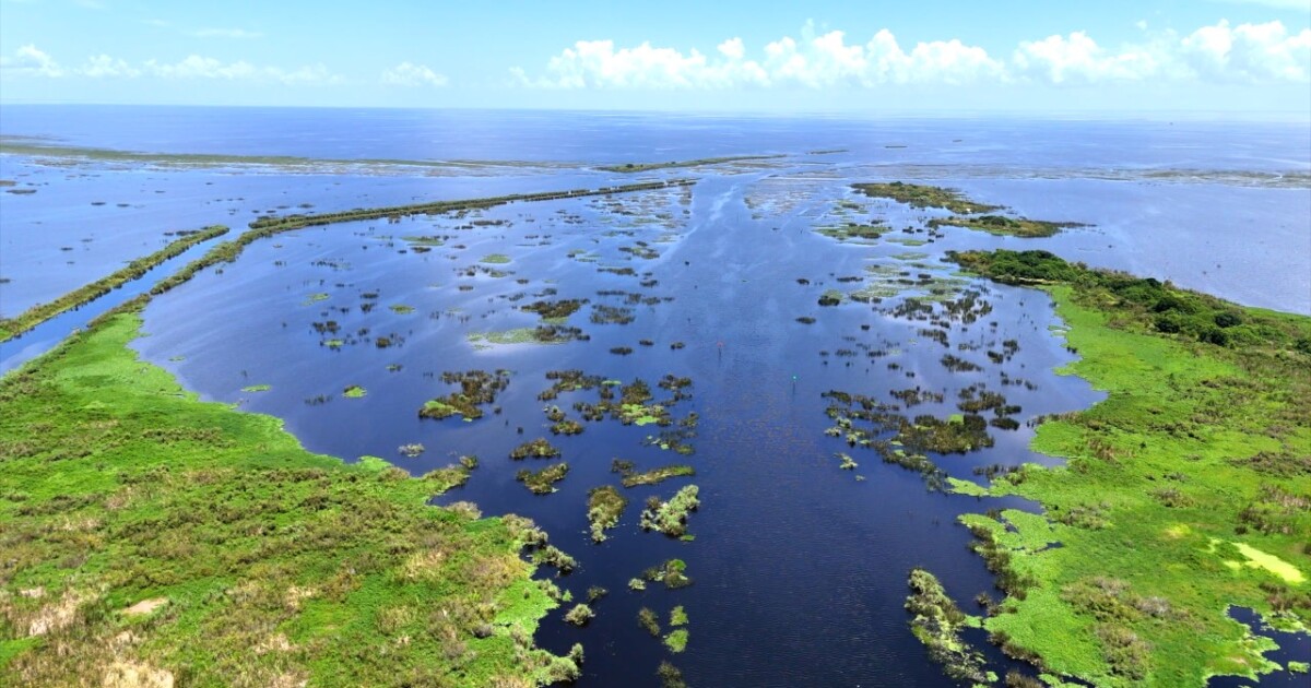 LAKE O HEALTH CHECK: No discharges needed after Hurricane Debby [Video]