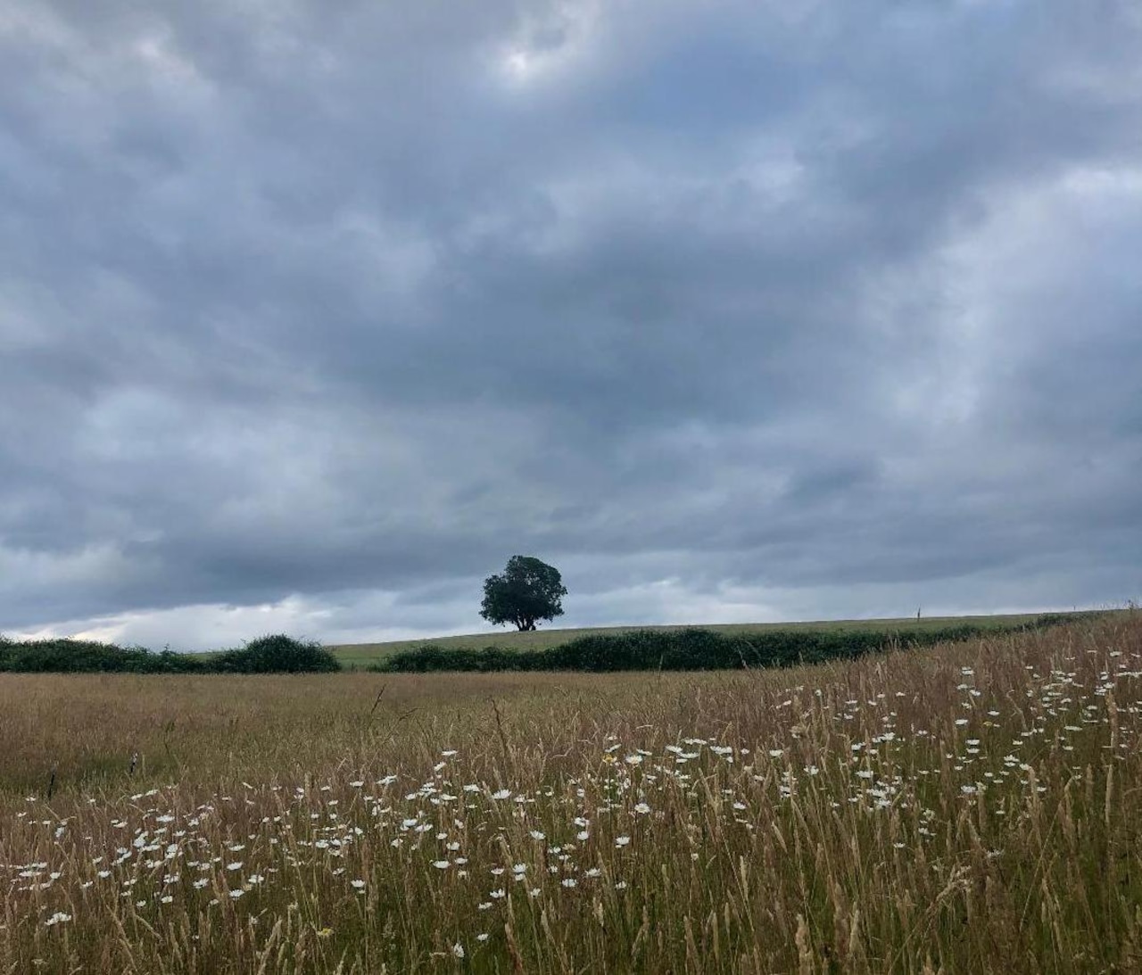 Thicker clouds could hang around through Tuesday afternoon in Portland; high 74 [Video]