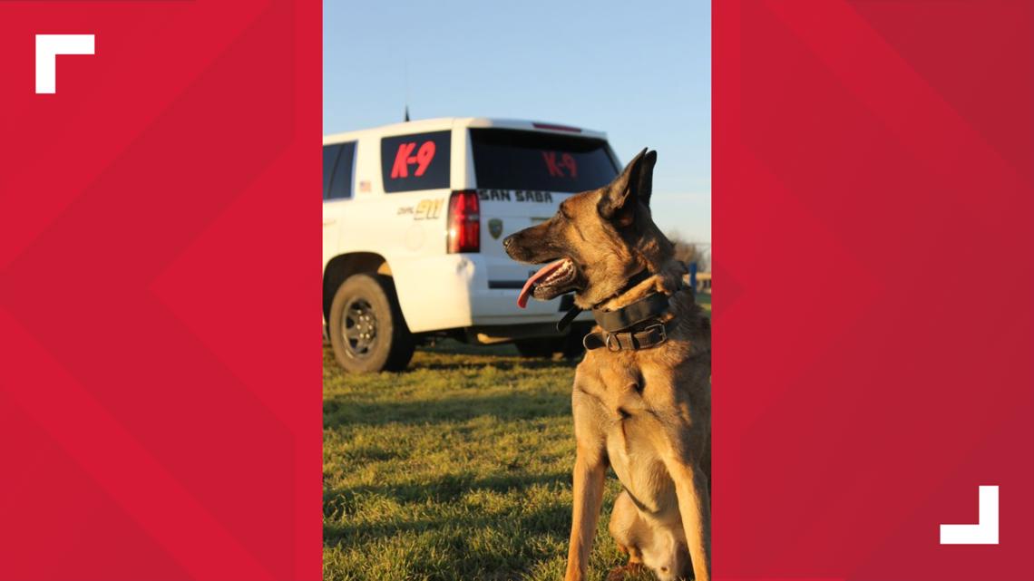 San Saba: K9 “Andor” helps make arrest in Central Texas [Video]