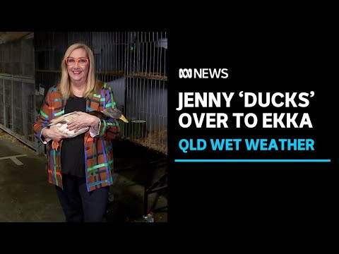 Jenny ‘ducks’ for wet weather cover as Ekka spirits remain high | ABC News [Video]