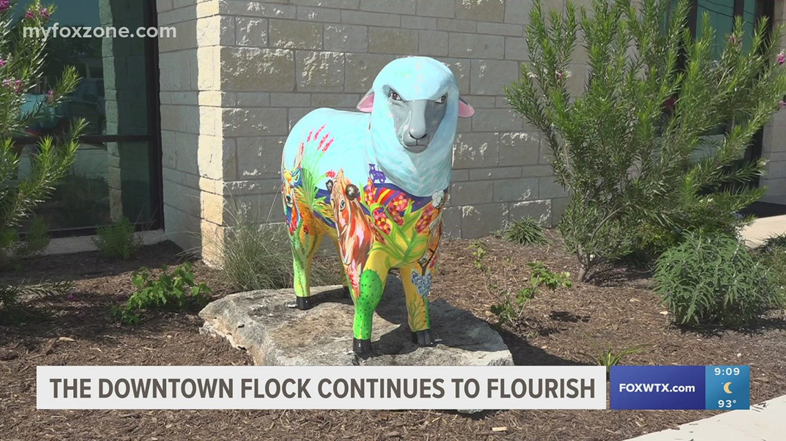 The flock continues to flourish [Video]