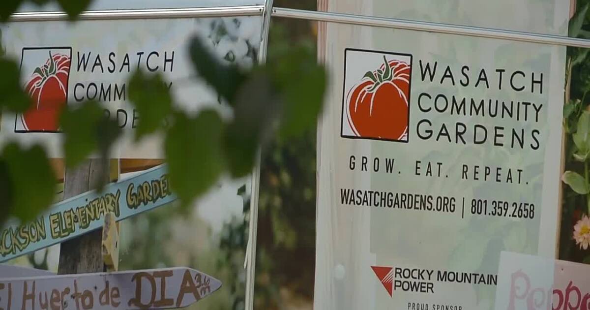 Community garden harvesting more than fruits, vegetables is on the move [Video]