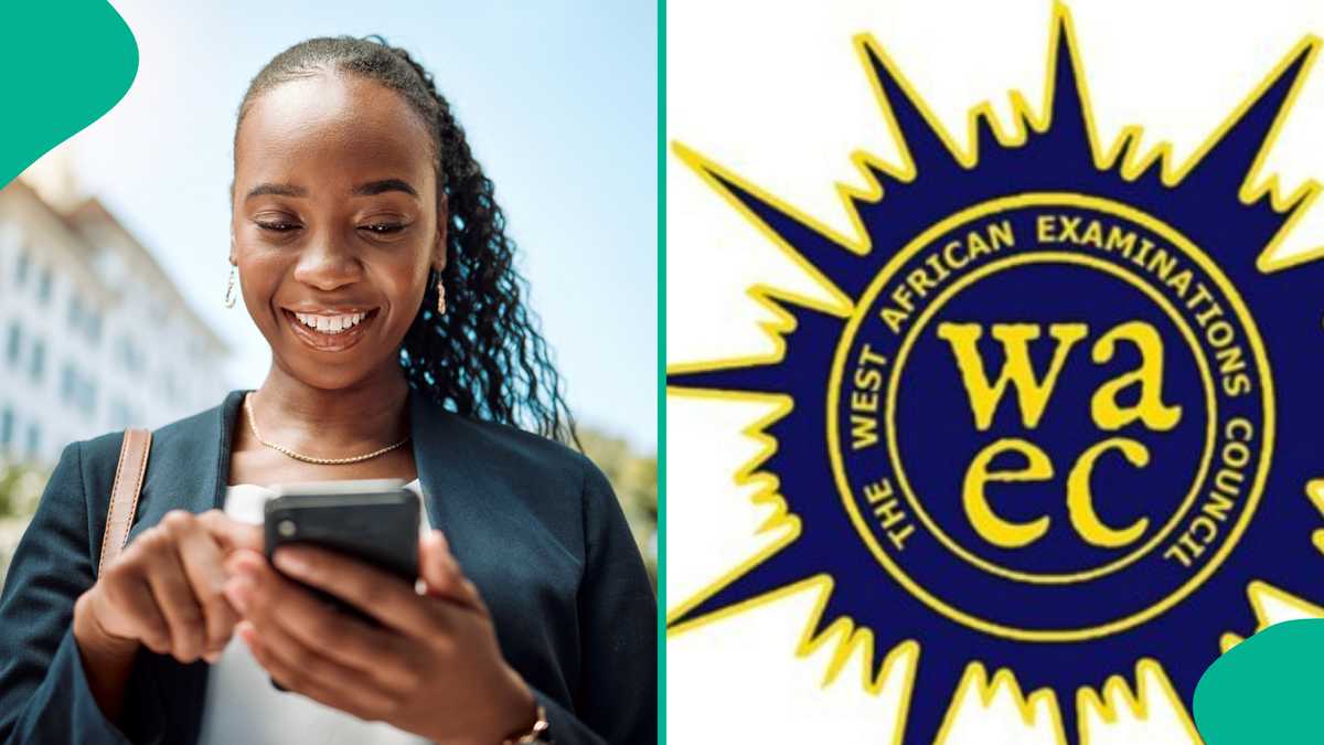 Nigerian Student from GreatAndy School Earns 5 A1s in WAEC Exams with Distinction in Maths [Video]