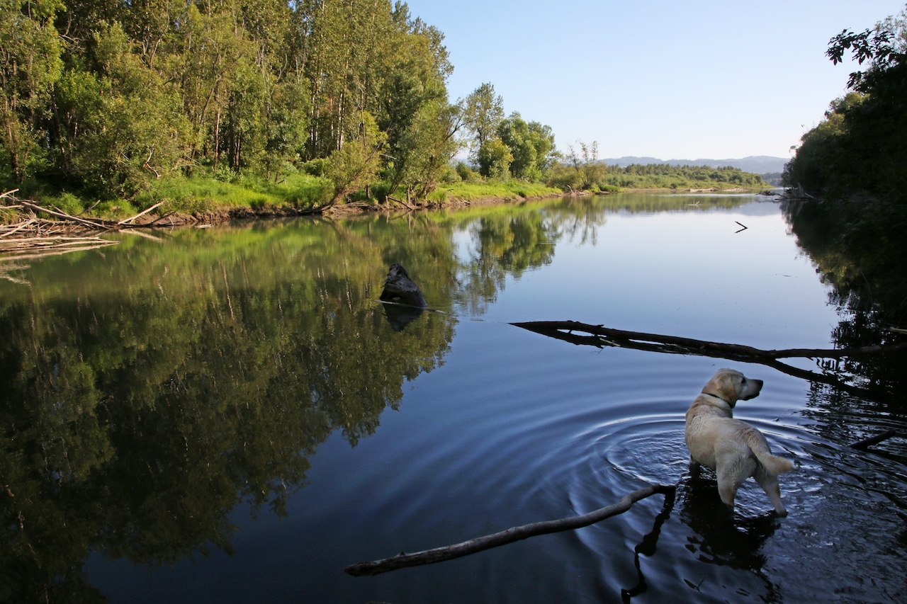 Portland sees morning clouds Wednesday, afternoon clearing; high 80 [Video]