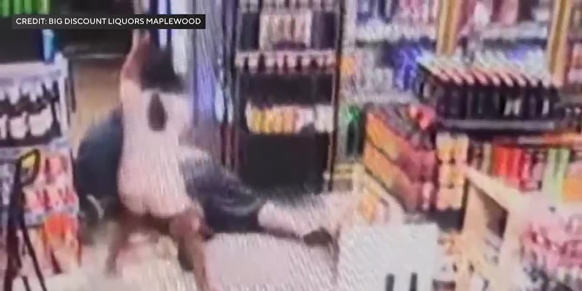 8-year-old fights off armed robber with baseball bat [Video]