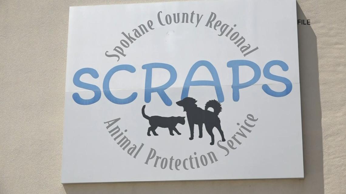 SCRAPS hosts free spay-neuter clinic “Spokane County SNIP” [Video]