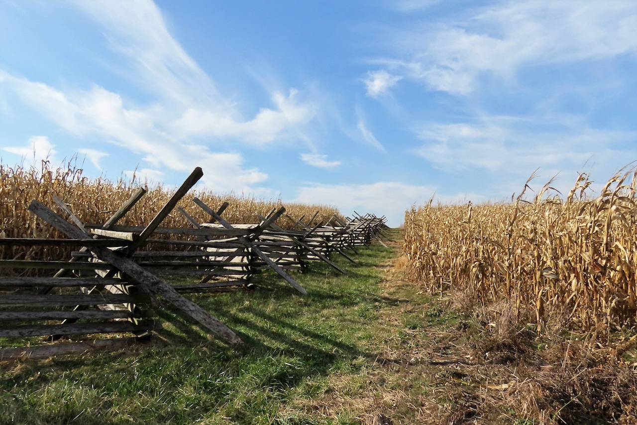 Gettysburg National Military Park seeks public help for missing artifacts [Video]