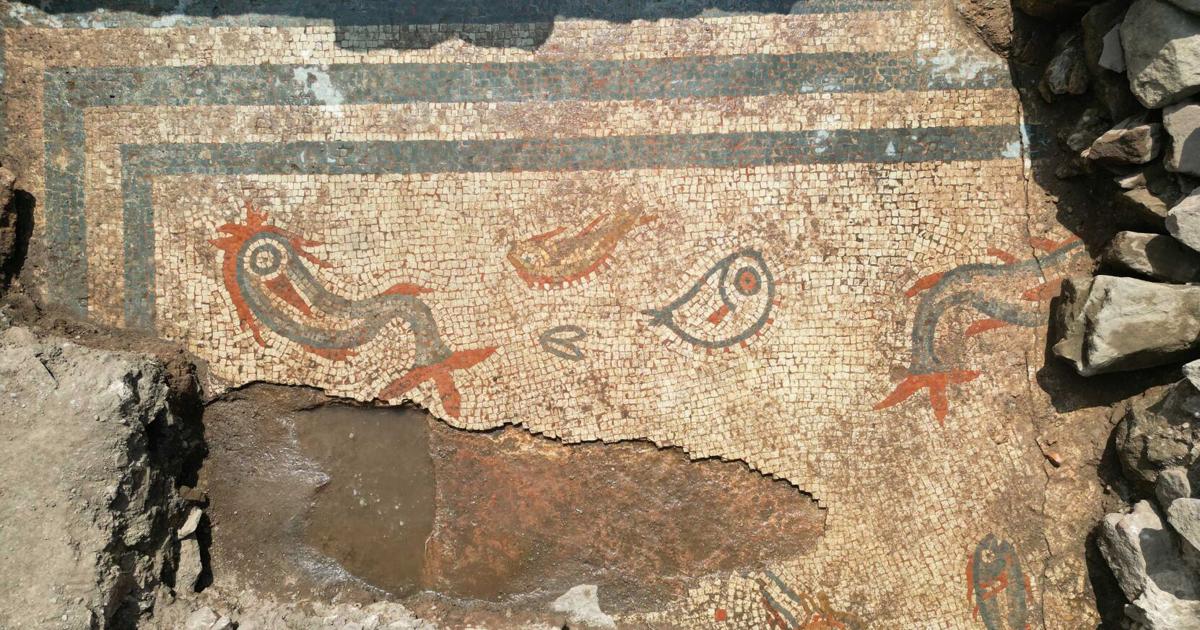 Mosaic buried for thousands of years uncovered by archaeologists | International [Video]