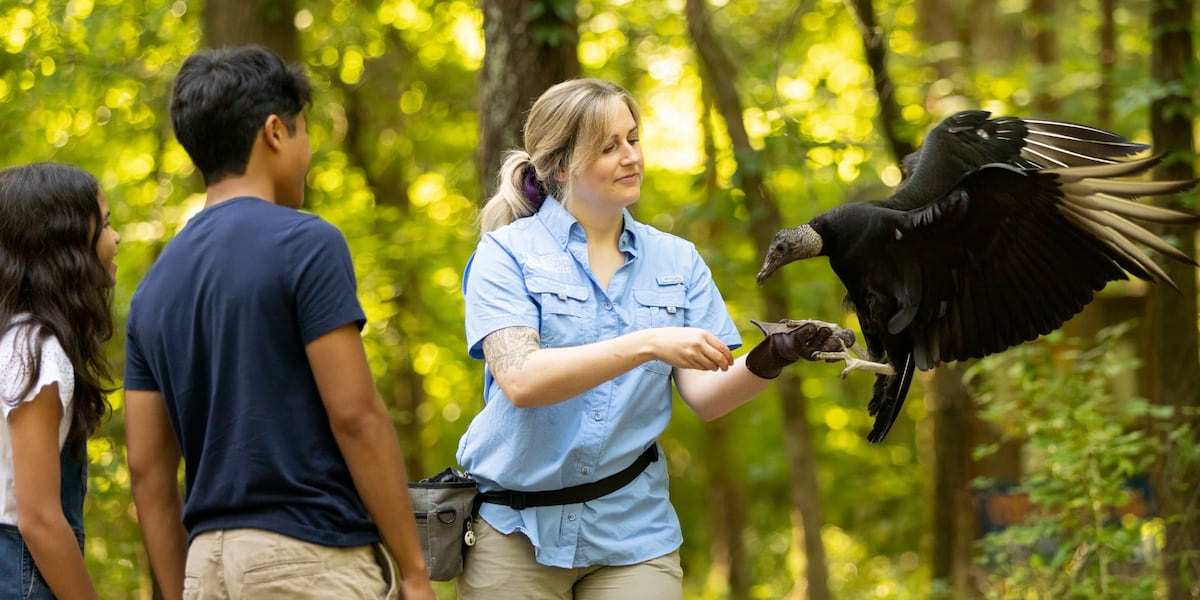 Reach new heights at the Carolina Raptor Center [Video]