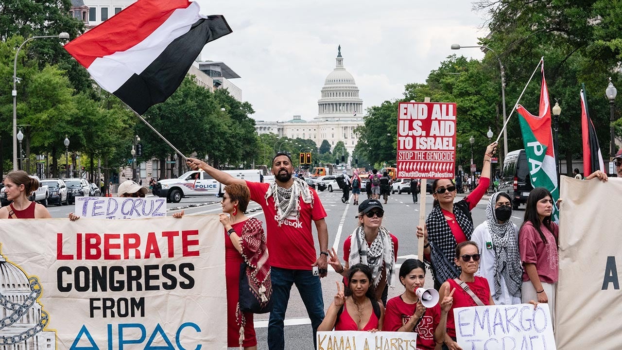 Law enforcement brace as anti-Israel groups vow to bring tens of thousands of protesters to DNC in Chicago [Video]