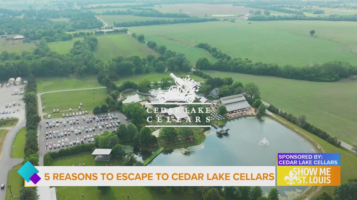 5 reasons to visit Cedar Lake Cellars this fall [Video]