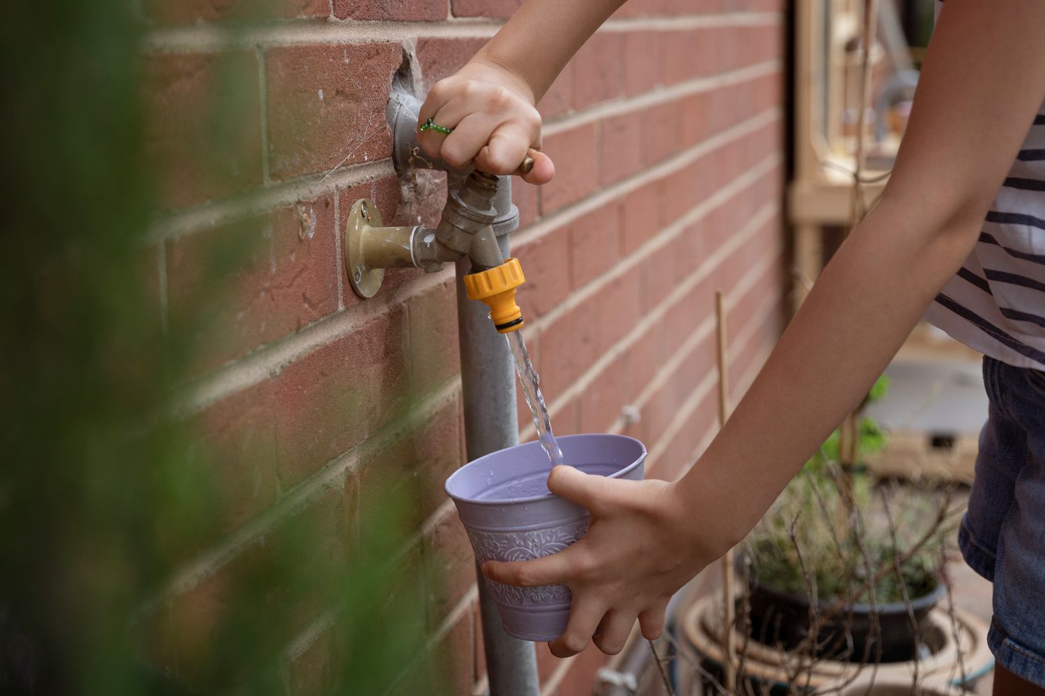 Arizona Girl, 9, Killed By Family Dogs While Turning Off Water Spigot [Video]