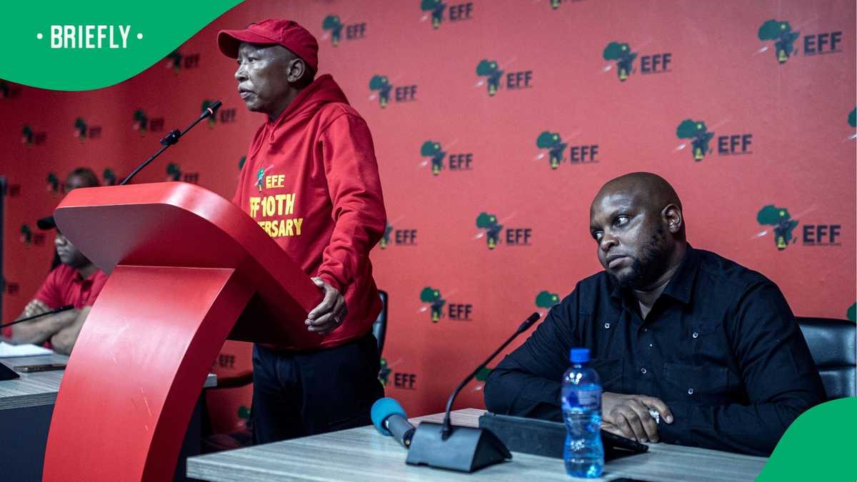 Alleged Fallout With Julius Malema Spurred Floyd Shivambus Departure, Says EFF Insider [Video]