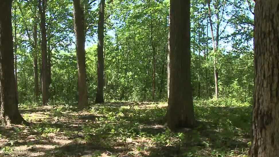 Climate adaptation research inside Wauwatosa forest [Video]