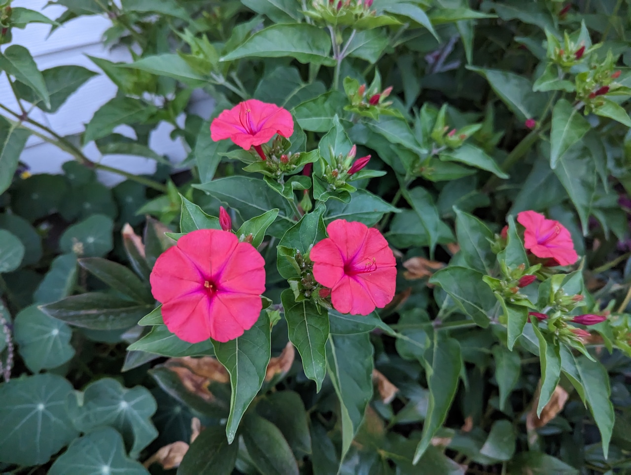 Portland sees slowly clearing skies Friday; Saturdays rain starts by afternoon [Video]