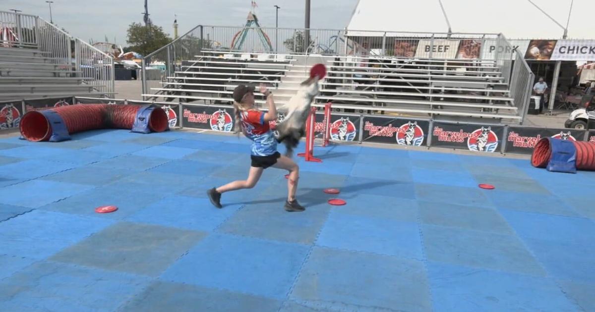 Furry, 4-legged athletes show off their acrobatic skills at Kentucky State Fair | [Video]