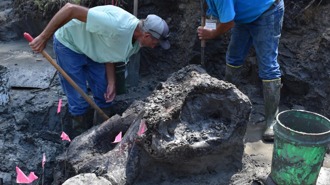 Iowa news: Mastodon bones found in Wayne County [Video]