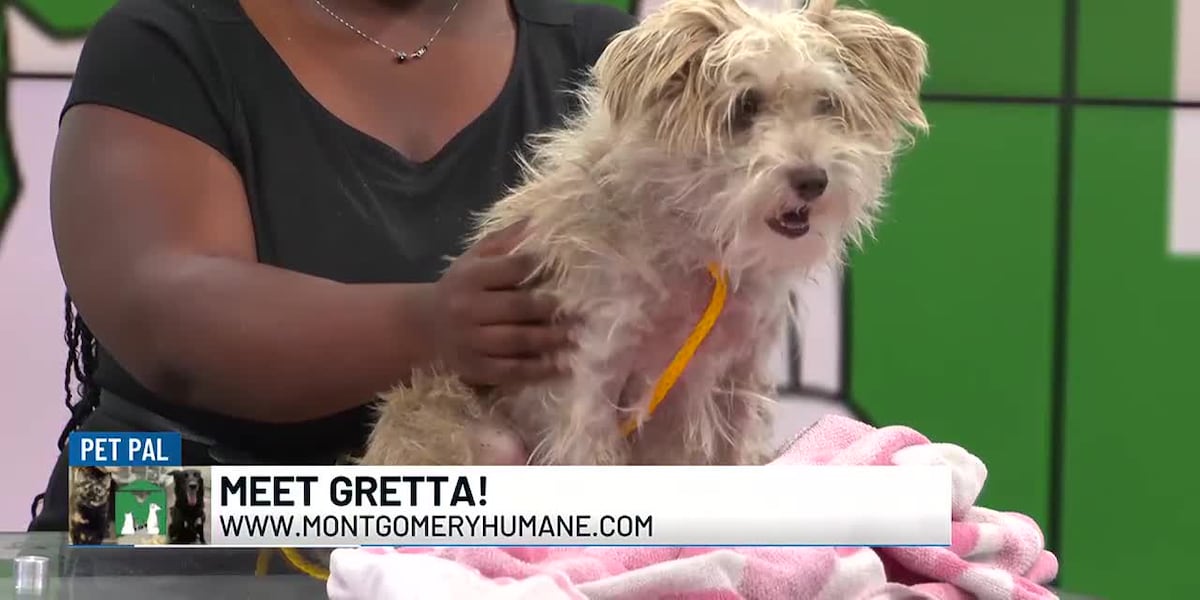 Pet Pal: Gretta [Video]