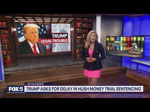 Trump asks judge to delay his hush money sentencing until after the 2024 election [Video]