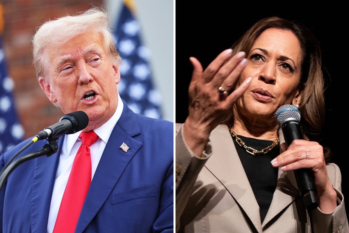 Harris campaign slams Trump for planning rally in Michigan town with long ties to KKK [Video]