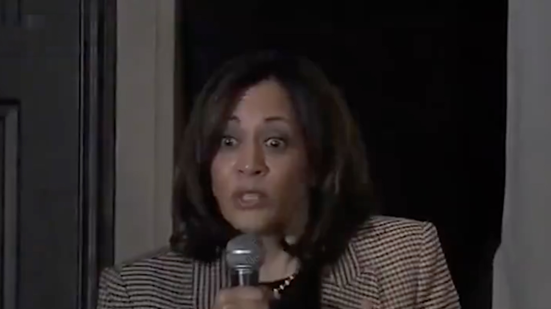 Kamala Harris blasted for ‘scariest’ policy after video resurfaces of her threatening to ‘snatch patents’