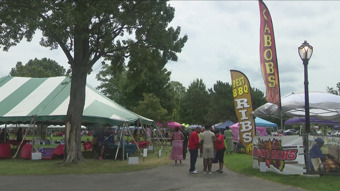 MLK Park hosts 36th annual Taking it to the Streets event [Video]