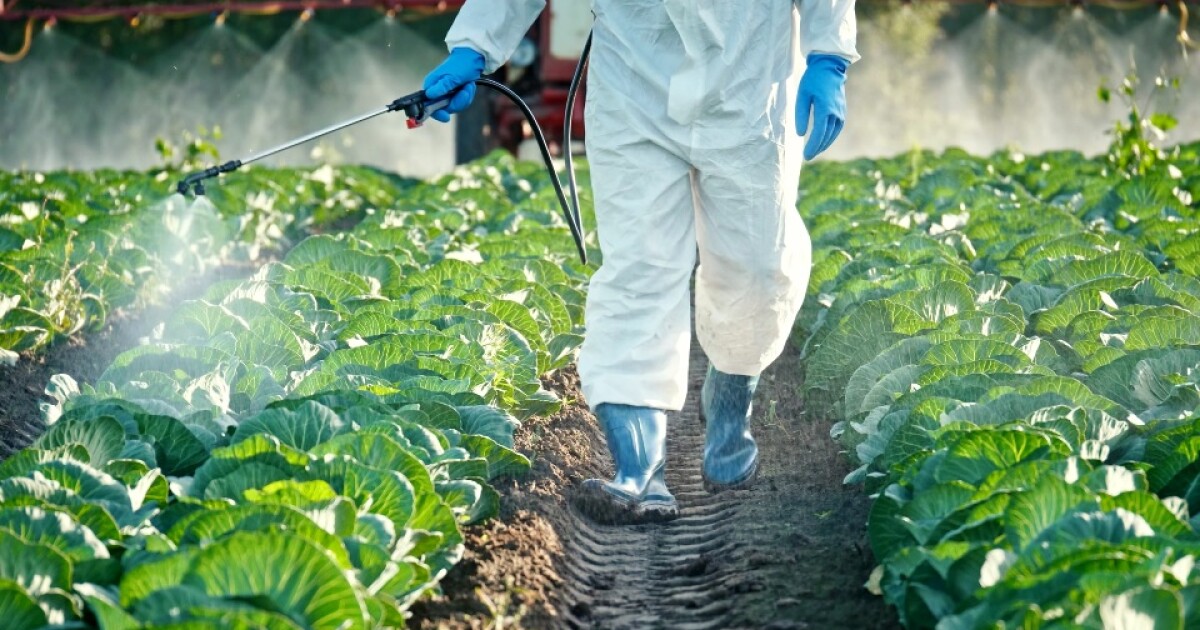 UA study links pesticide exposure to increased risk of stillbirths [Video]