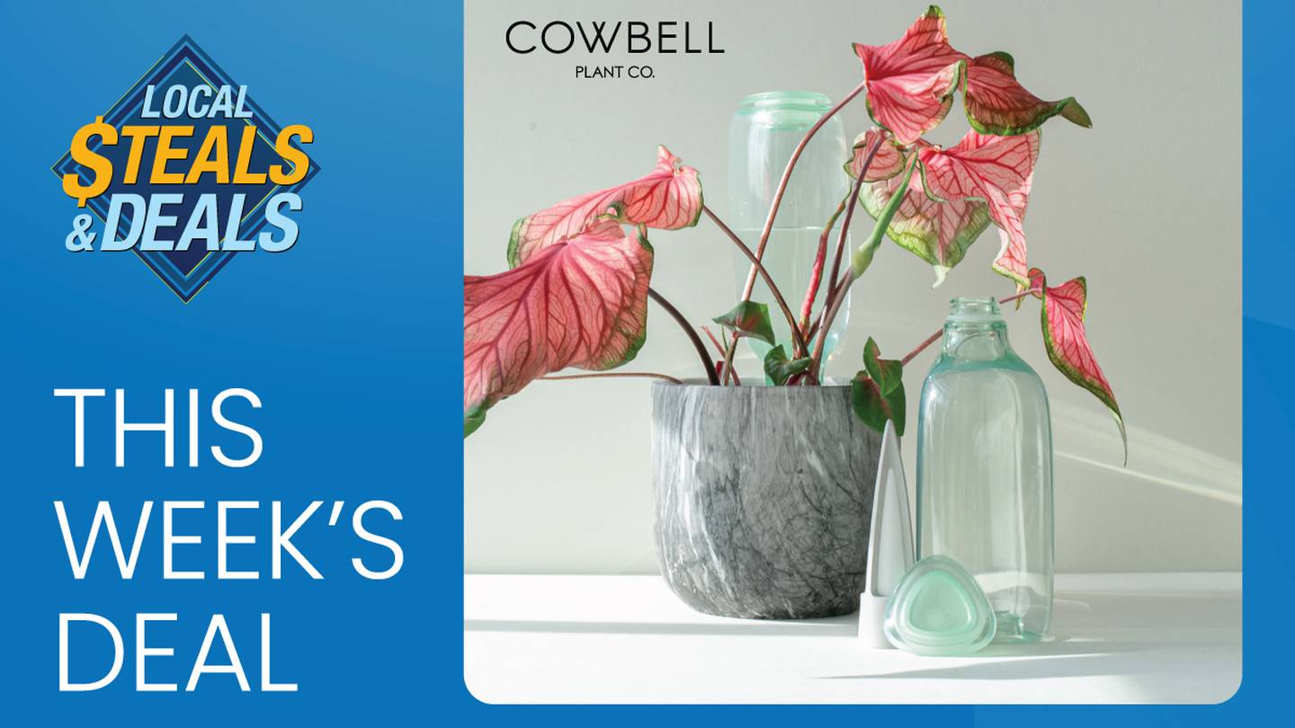 Effortless Plant Care with Cowbell Plant Co!  Boston 25 News [Video]