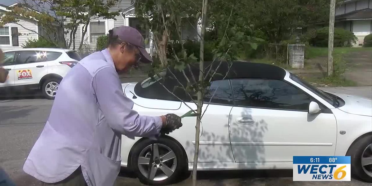 Volunteers work to help maintain trees in Wilmingtons southside [Video]