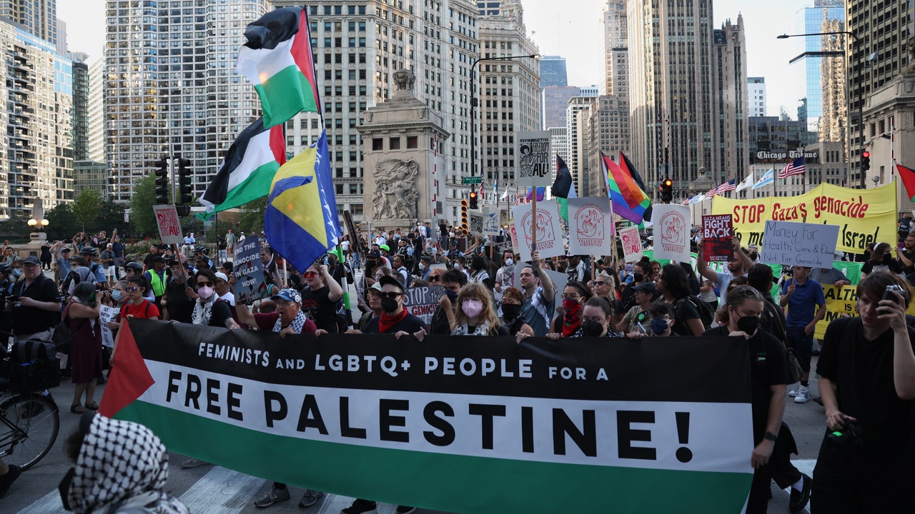 DNC: Pro-Palestine Protesters Descend on Chicago, Calling for Gaza Ceasefire [Video]