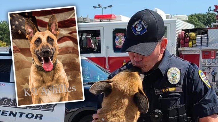 Mentor Police Department K-9 suddenly passes away [Video]