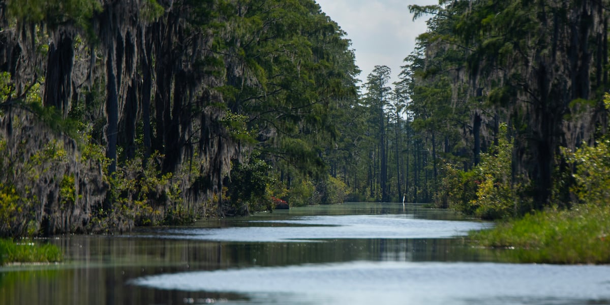 For people near the Okefenokee Swamp, making a living inextricably linked to tourism [Video]