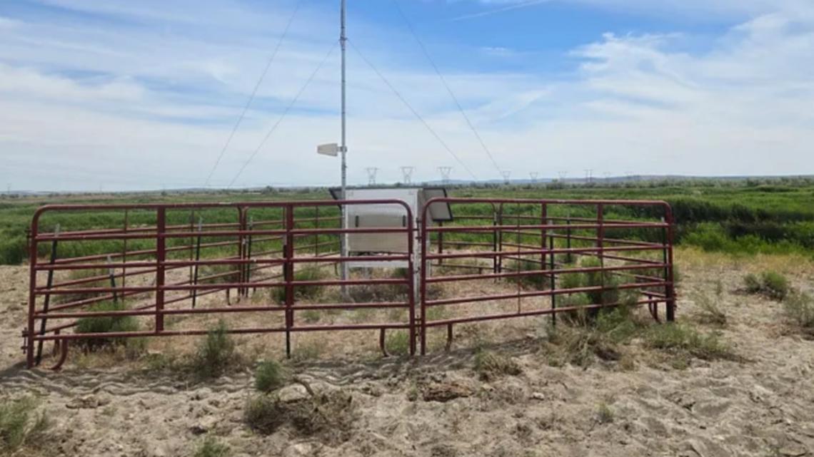 New virtual fencing technology aims to help farmers in Washington [Video]