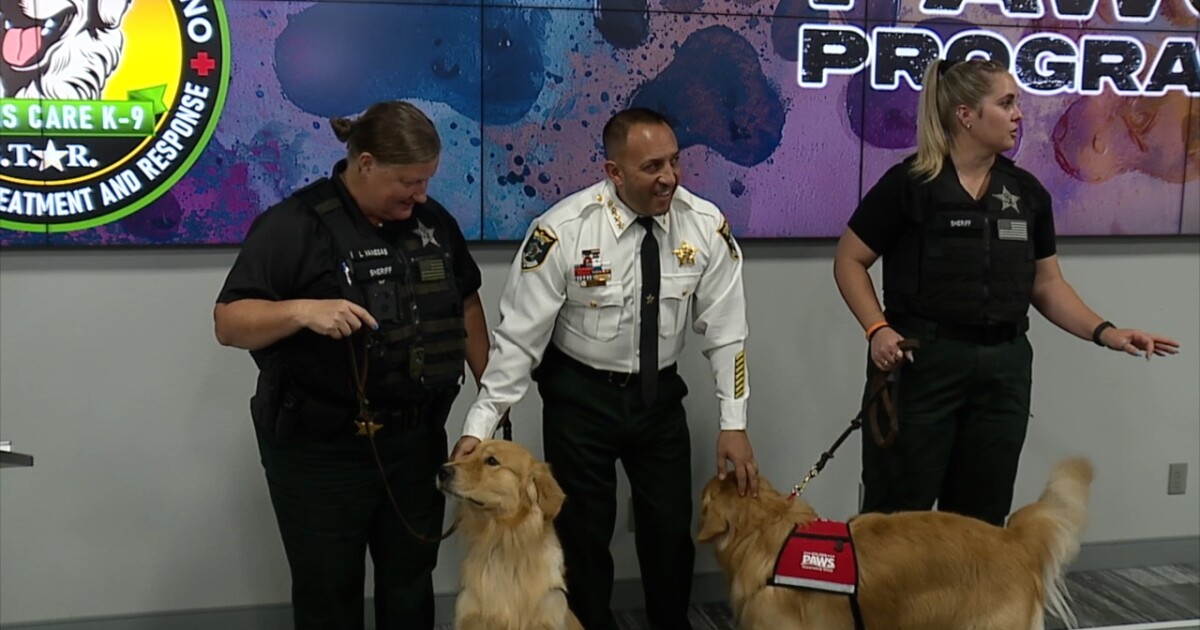 Lee County Sheriff’s Office adds new therapy dog unit for crisis intervention [Video]