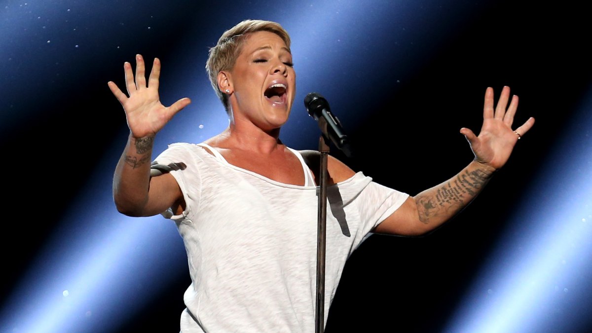 Pink set to headline final night of DNC in Chicago  NBC Chicago [Video]