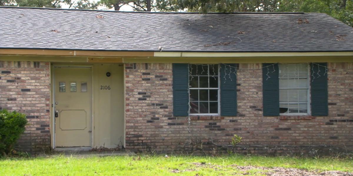 Lawmakers seek investigation into Charleston Co. Housing Authoritys selling of homes [Video]