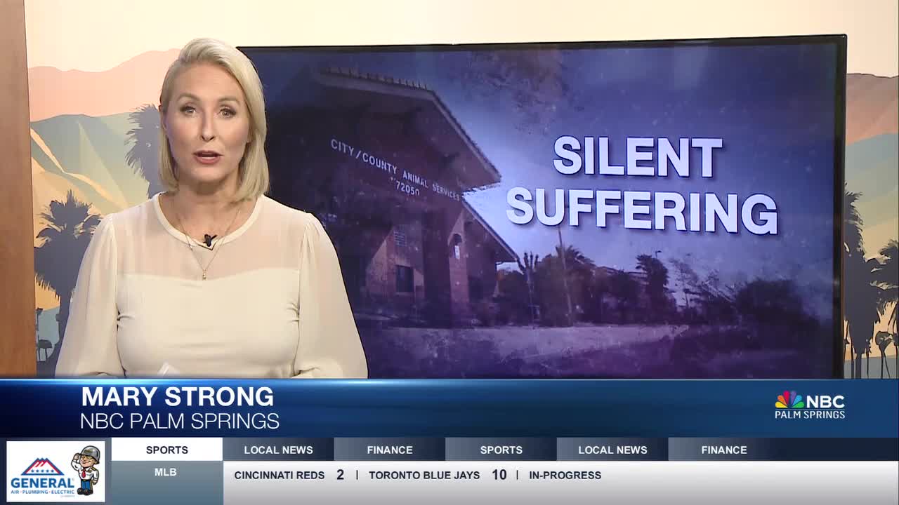 Riverside County Sued Over Alleged Negligence in Animal Shelter Operations Amid “Suffering in Silence” Investigation [Video]