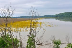 Indiana Has Plenty of Water but Management Needs Work… [Video]